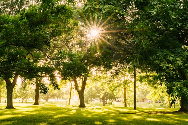 Park